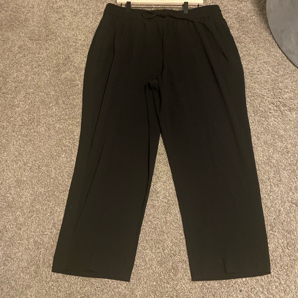 Express Woman’s Elegant Black Dress Pants